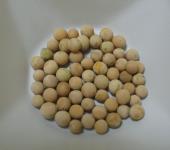 Click for 1 image(s) for this accession. SEED