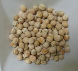 Click for 1 image(s) for this accession. SEED