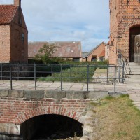 Click for 1 image(s) for this accession. Image