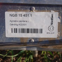 Click for 3 image(s) for this accession. Image