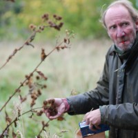 Click for 2 image(s) for this accession. Image