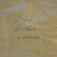 Click for 2 image(s) for this accession. Image