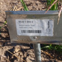 Click for 4 image(s) for this accession. Image