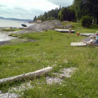 Click for 1 image(s) for this accession. Image