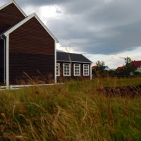 Click for 2 image(s) for this accession. Image