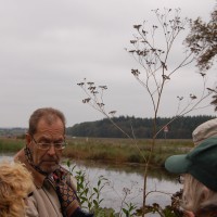 Click for 1 image(s) for this accession. Image