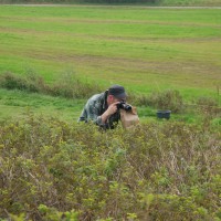 Click for 1 image(s) for this accession. Image