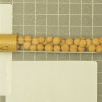 Click for 14 image(s) for this accession. Image