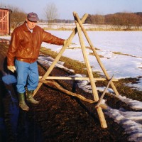 Click for 4 image(s) for this accession. Image