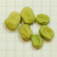 Click for 7 image(s) for this accession. Image