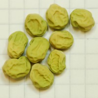 Click for 8 image(s) for this accession. Image