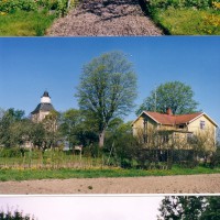 Click for 11 image(s) for this accession. Image