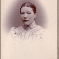 Click for 11 image(s) for this accession. Image