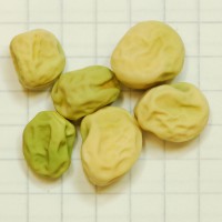 Click for 8 image(s) for this accession. Image