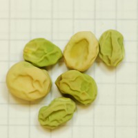 Click for 10 image(s) for this accession. Image