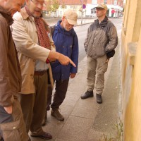 Click for 1 image(s) for this accession. Image