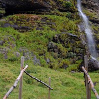 Click for 1 image(s) for this accession. Image