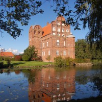 Click for 3 image(s) for this accession. Image