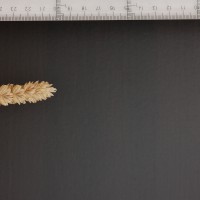 Click for 2 image(s) for this accession. Image