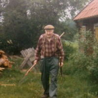 Click for 1 image(s) for this accession. Image