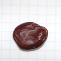 Click for 2 image(s) for this accession. Image